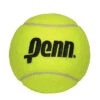 Penn 10 Inch Jumbo Inflatable Tennis Ball